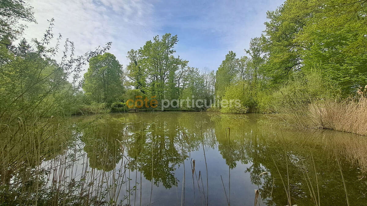 Terrain à CHEVILLON-SUR-HUILLARD