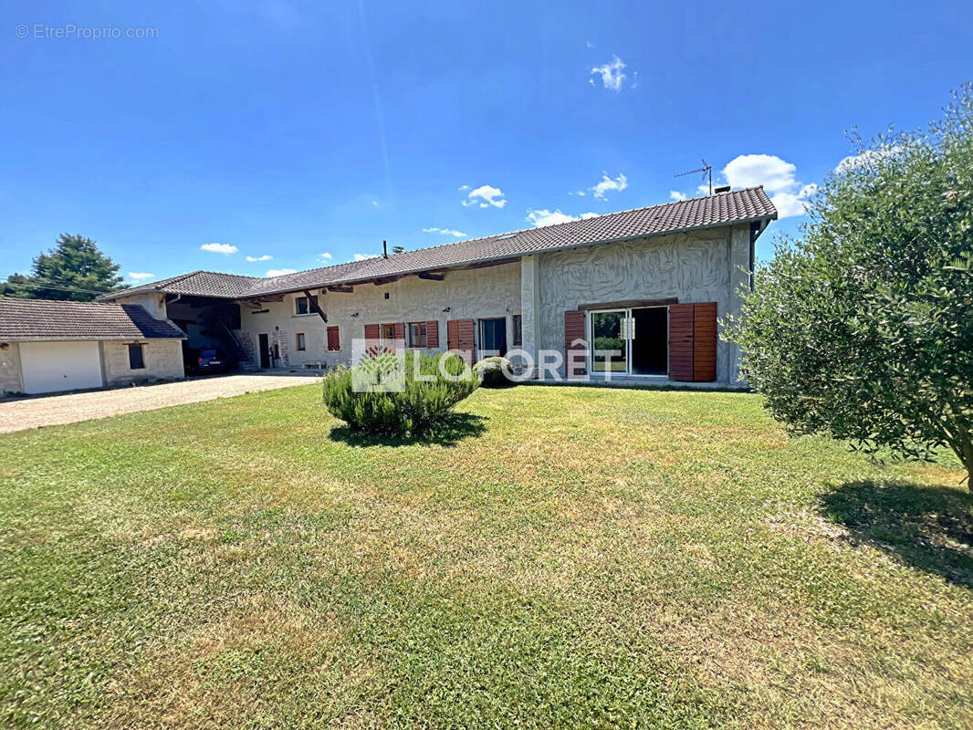 Maison à CORMORANCHE-SUR-SAONE