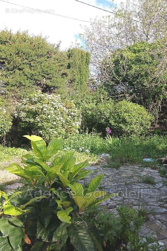 Maison à NISSAN-LEZ-ENSERUNE