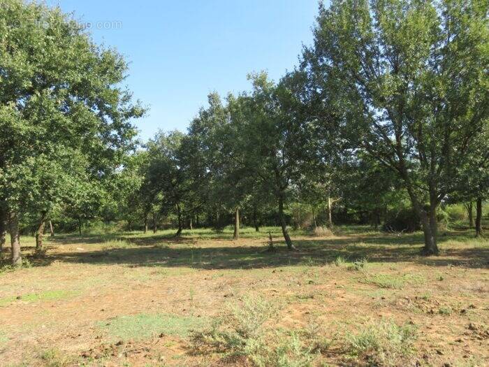 Terrain à MONTIGNARGUES