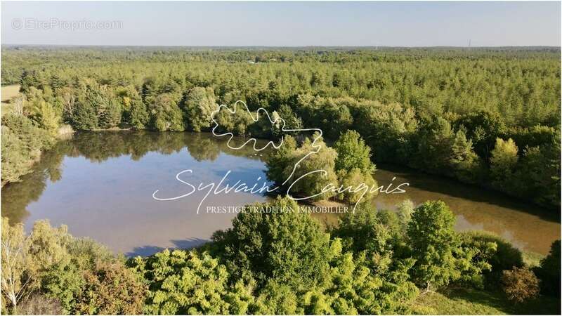 Terrain à SAINT-MARTIN-D'ABBAT