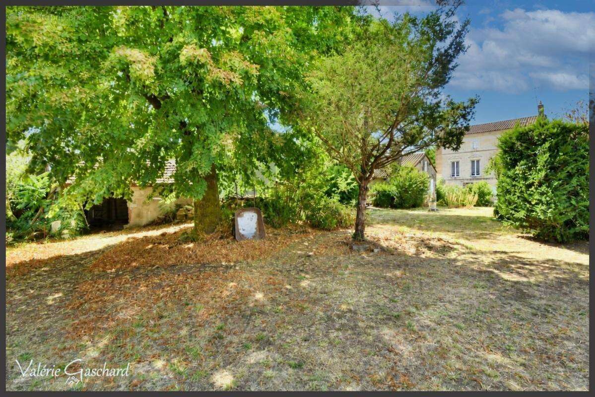 St Antoine sur l'isle  ( Gironde) - Maison en Pierre 250 m² + dépendance et piscine - photo 13