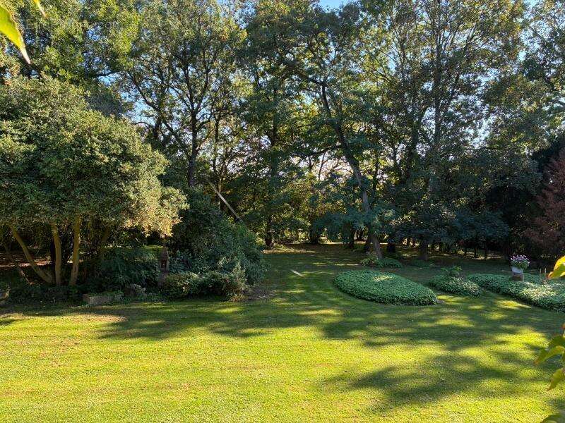 Maison à AVESNES-SUR-HELPE