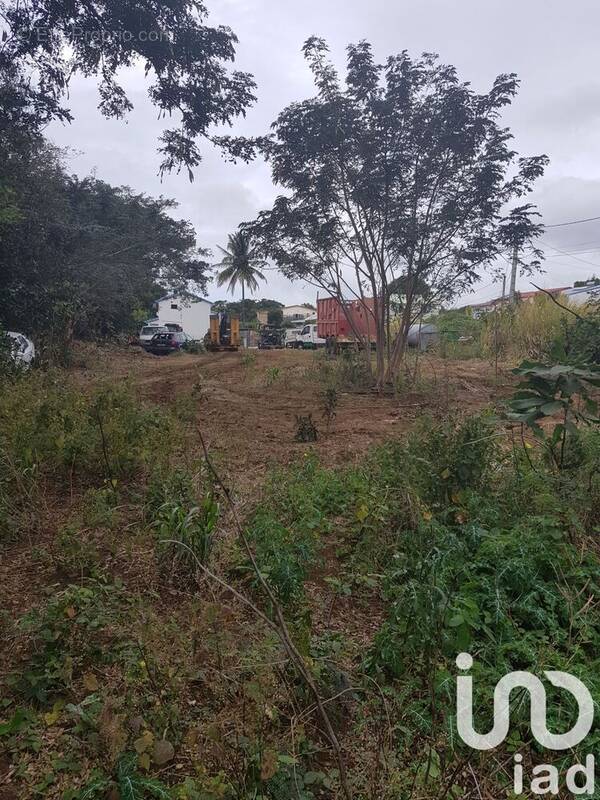 Photo 1 - Terrain à SAINTE-MARIE