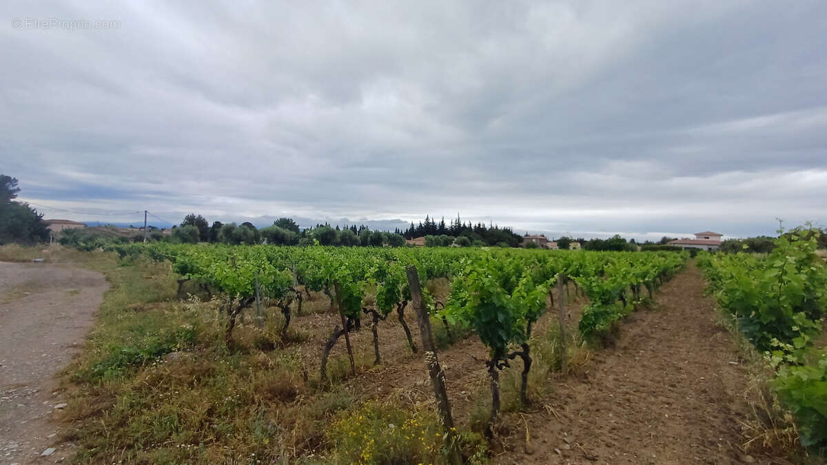 Terrain à SIRAN