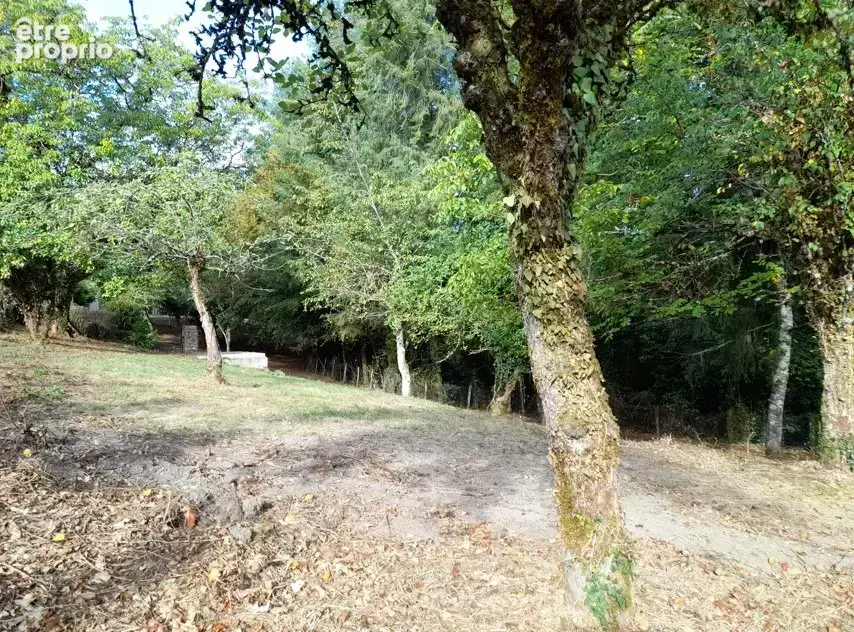 Terrain 2 050 m² à vendre à Bonnac-La-Cote (87270) - photo 2