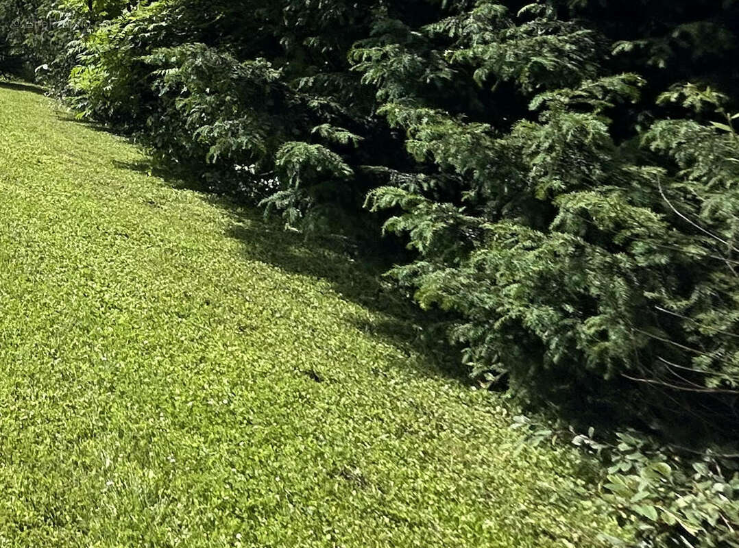 Terrain à LA FERTE-GAUCHER