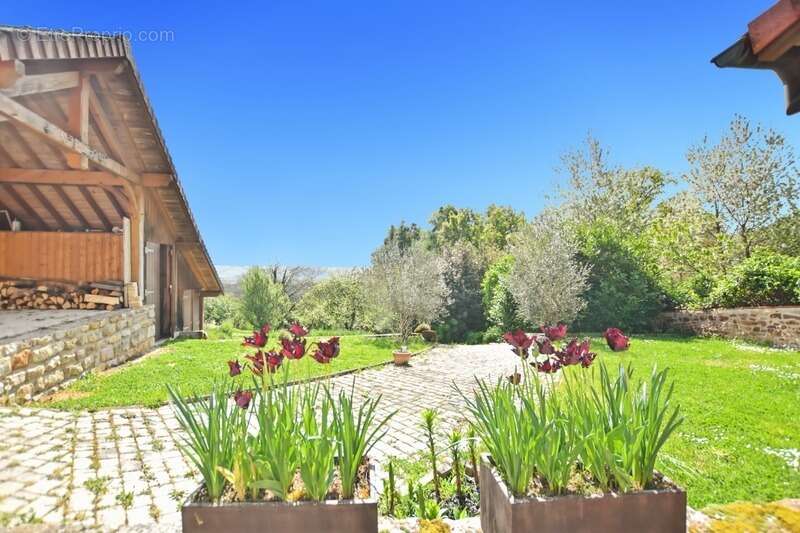 Maison à SAINT-JEAN-DE-TREZY