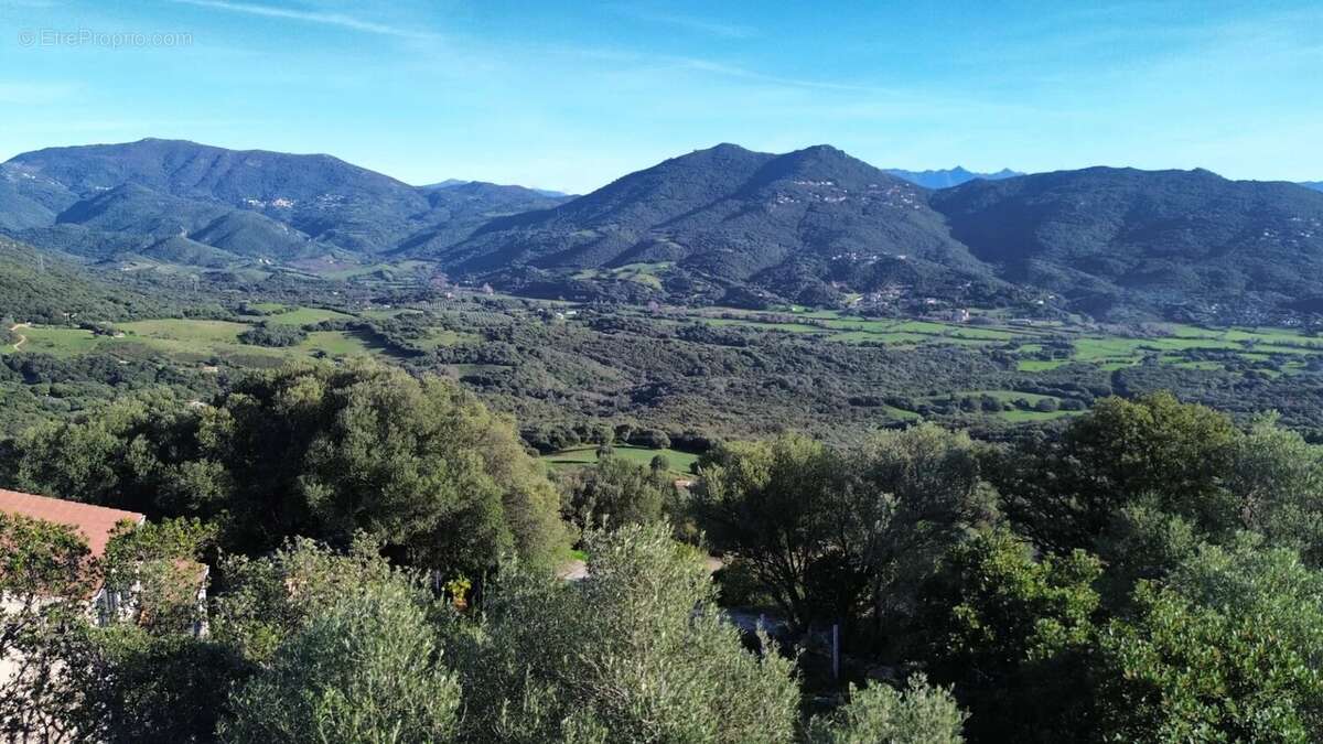 Terrain à OLMETO