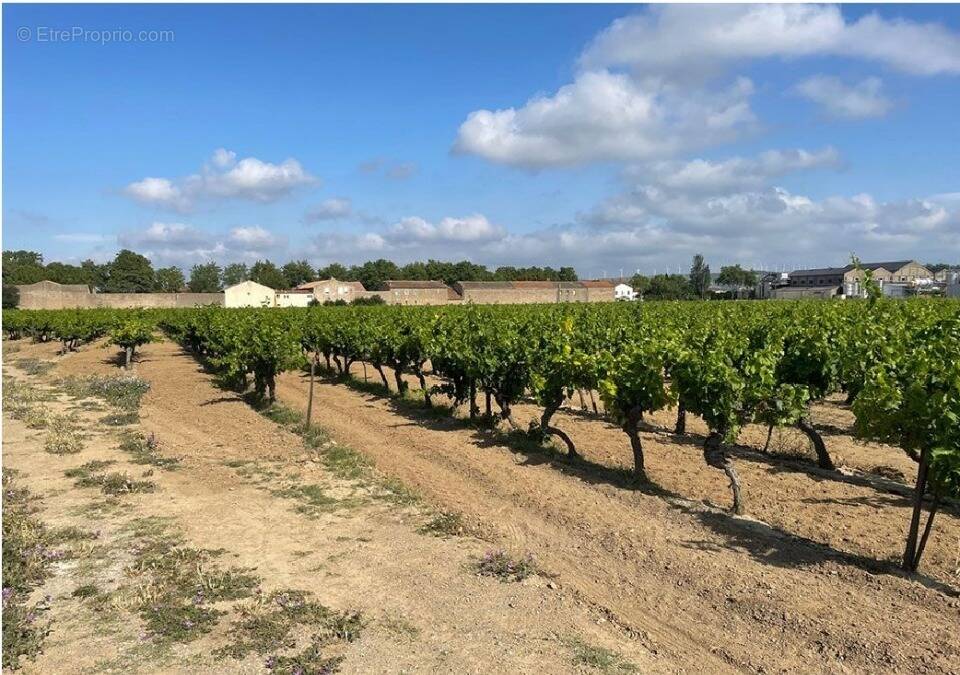 Terrain à CANET