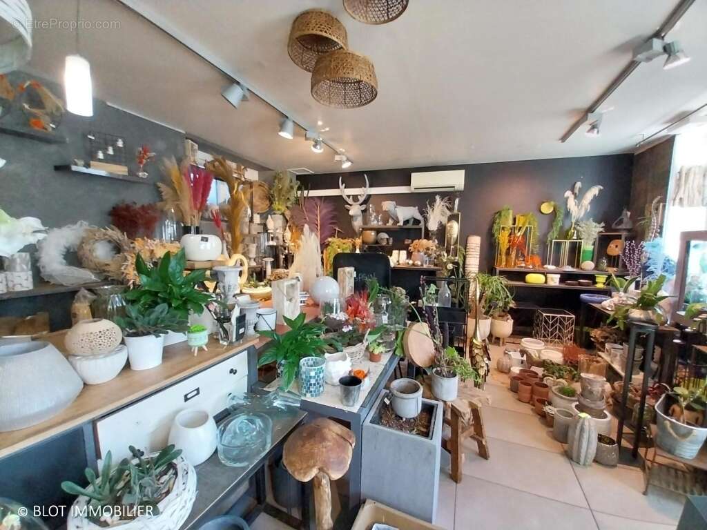 Appartement à MOELAN-SUR-MER