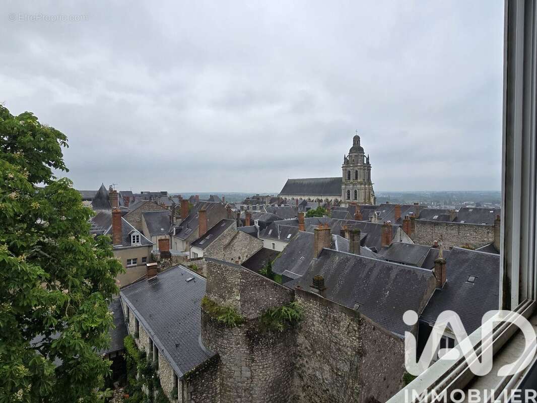 Photo 8 - Appartement à BLOIS