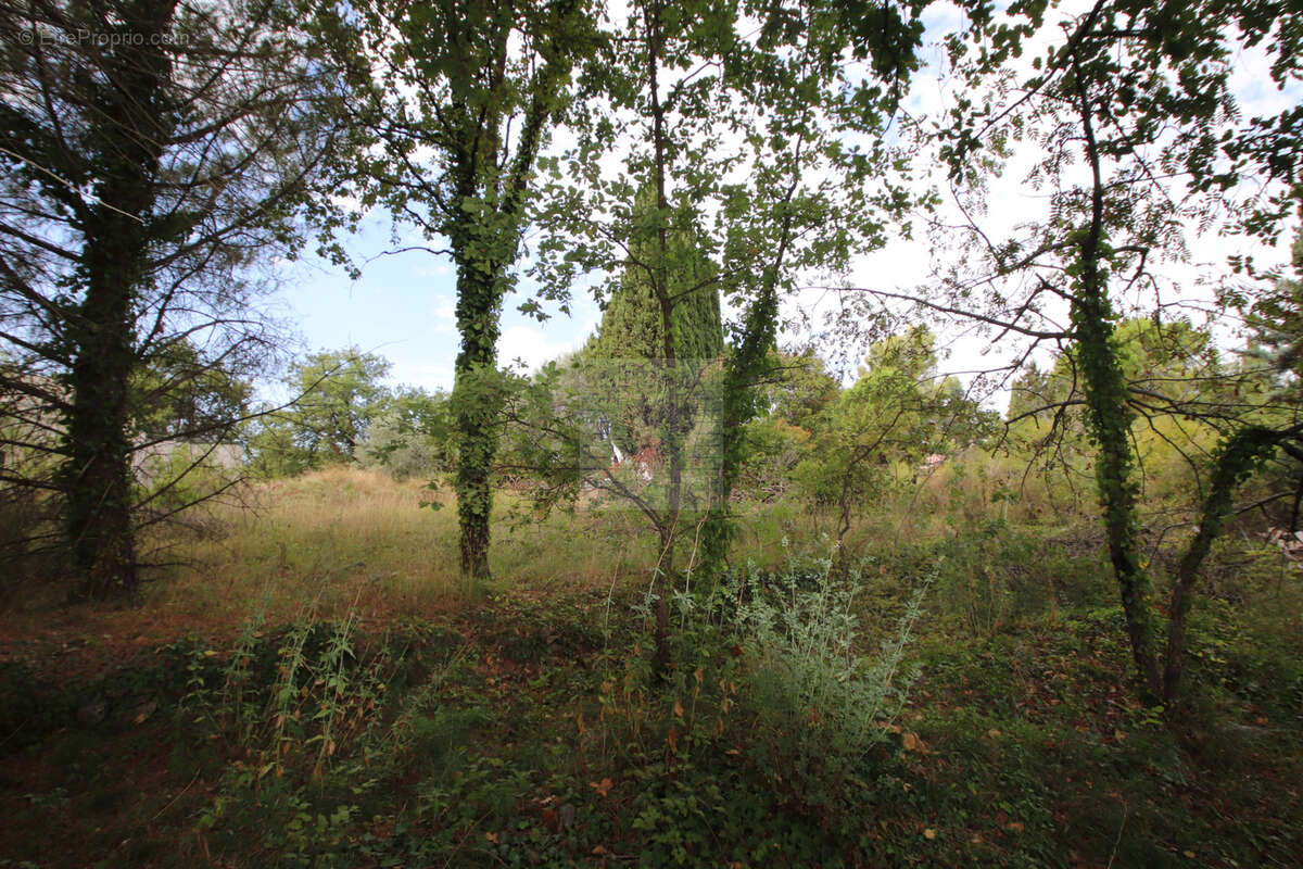Superbe terrain - 1318m2 - Saint-Paul de Vence - photo 2