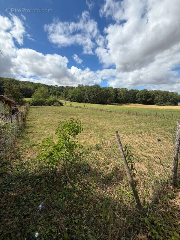 Terrain non constructible 2022m² - photo 2