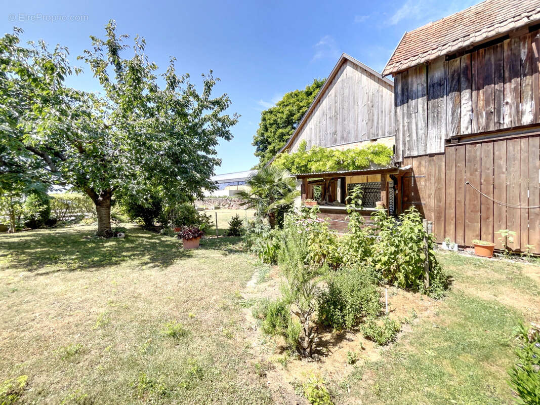 Maison à MATZENHEIM