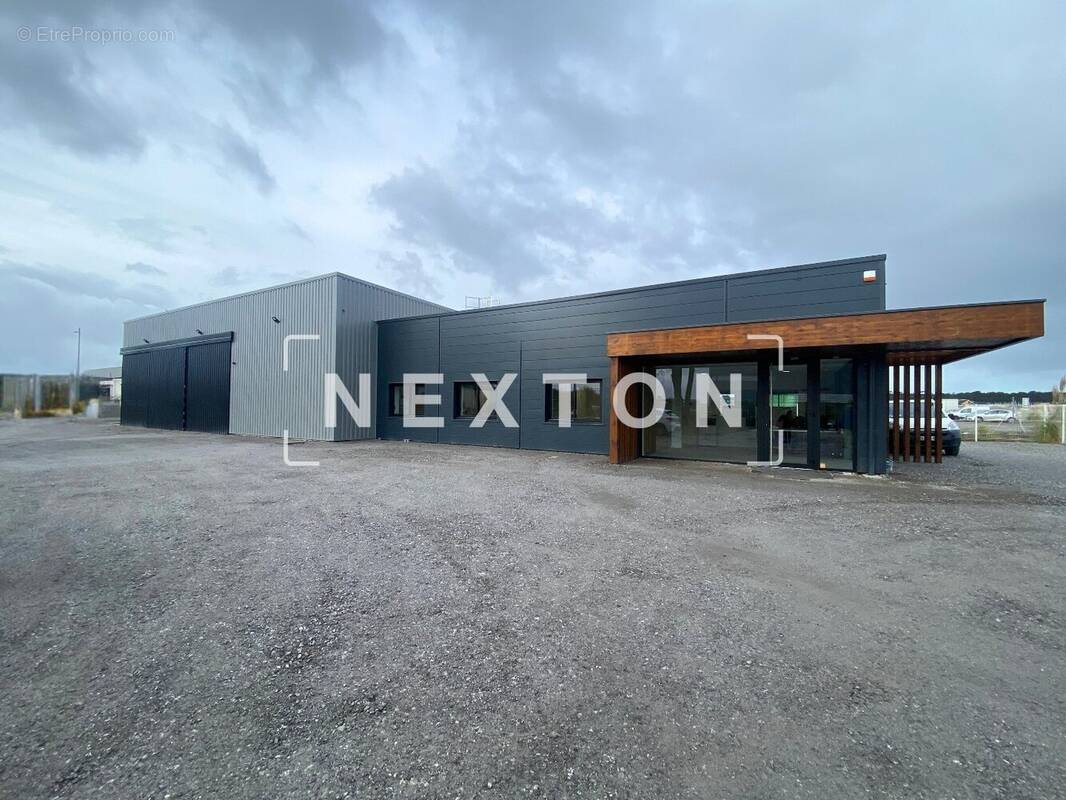 Commerce à SAINT-GEOURS-DE-MAREMNE