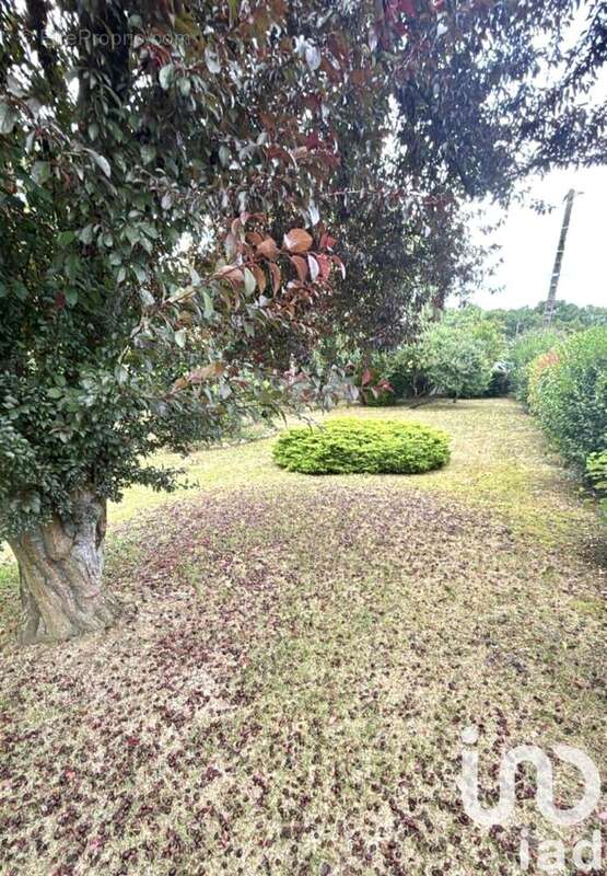 Photo 3 - Terrain à PLUDUNO