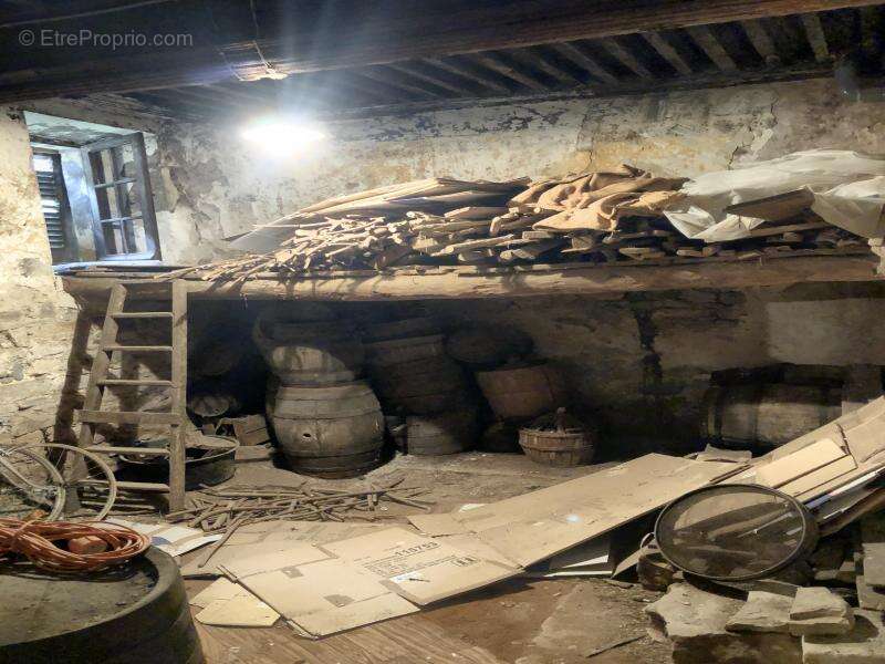 Maison à BIZE-MINERVOIS