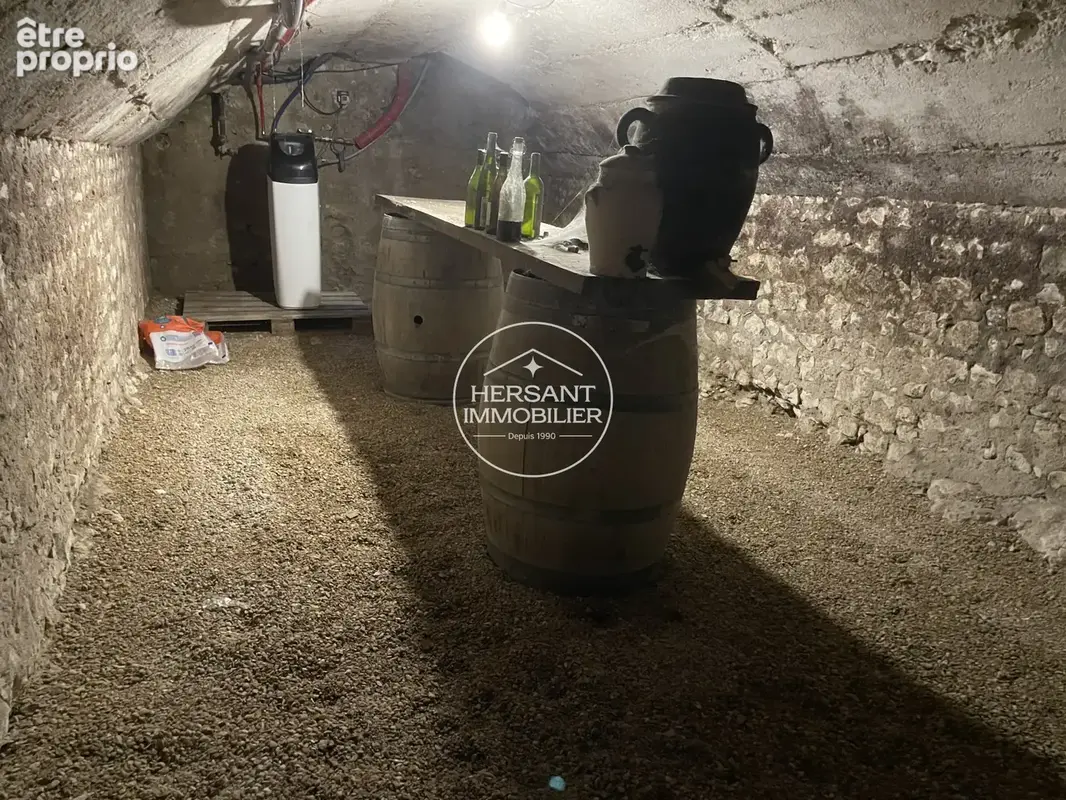 10 mn de beaugency - maison ancienne de 180 m2 habitables - photo 12
