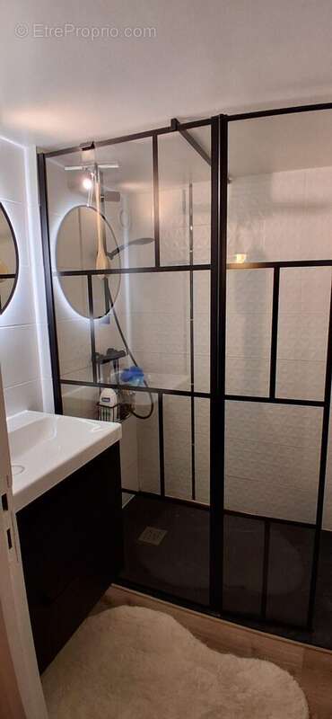 Salle de douche fonctionnelle et bien agencée - Appartement à LOUVIERS