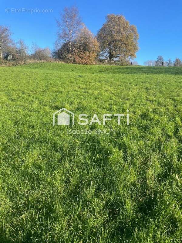 Photo 3 - Terrain à BEUTIN