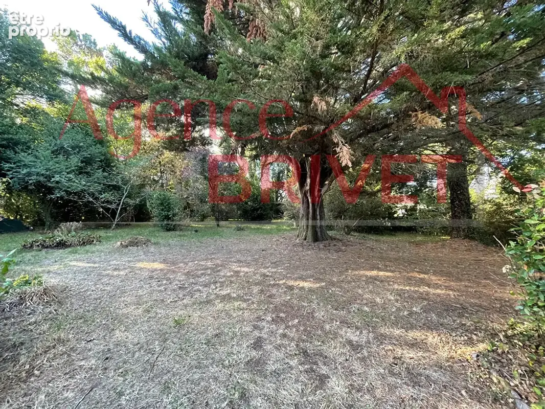 Maison de campagne - photo 13