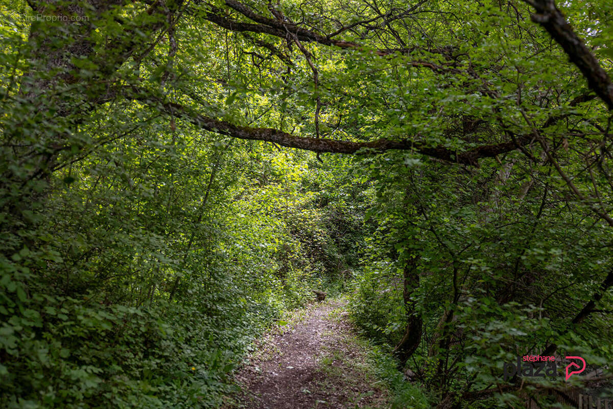 Maison à SAINT-ANDRE-D&#039;EMBRUN
