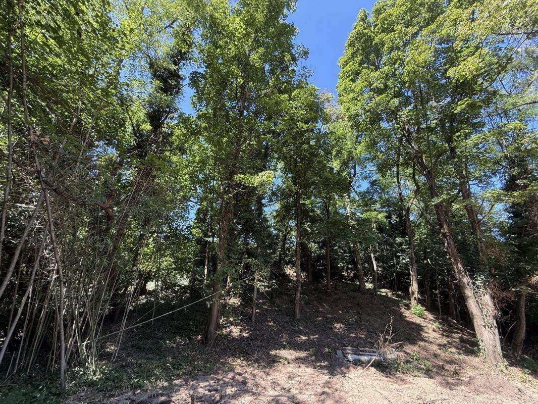 Terrain à CHAPONOST