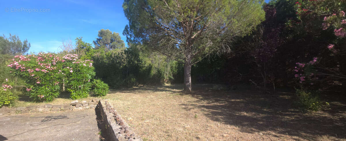 Maison à TOUROUZELLE
