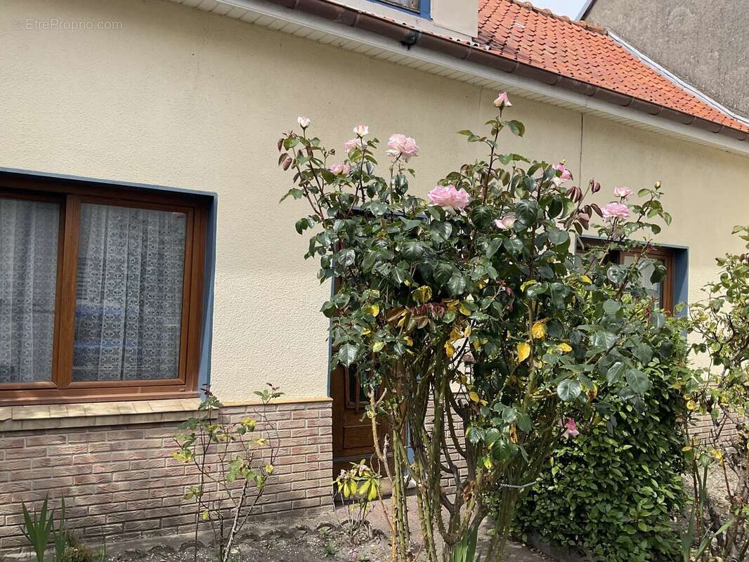 Maison à BERCK