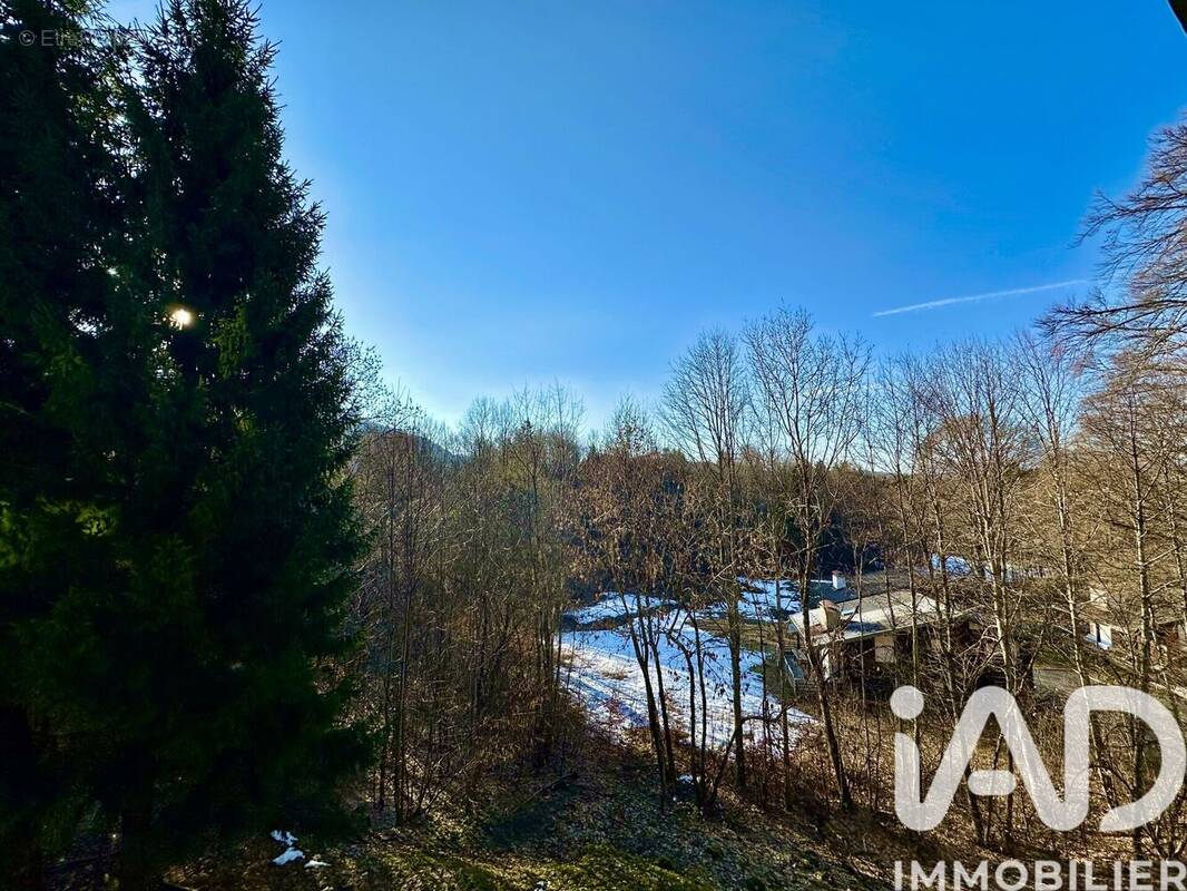 Photo 1 - Appartement à ARACHES-LA-FRASSE