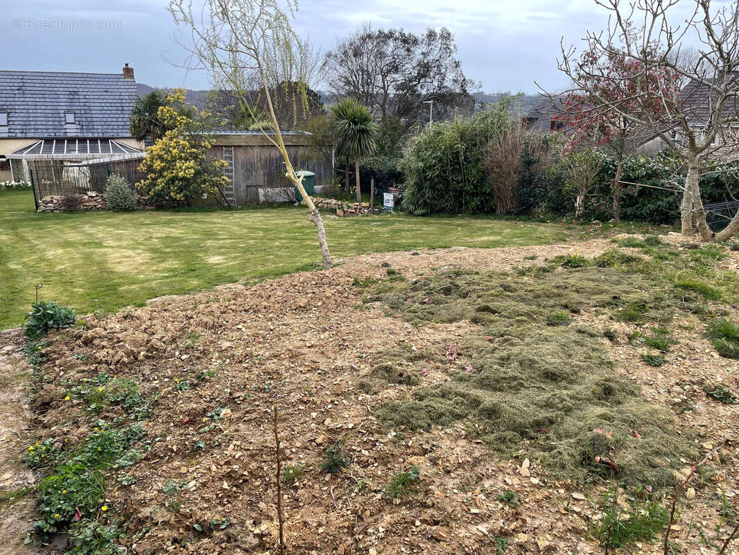 Terrain à MARTINVAST