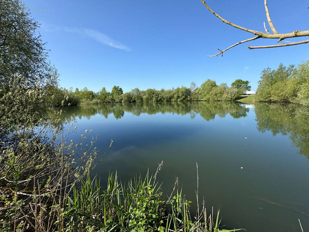 Terrain à LA BRUERE-SUR-LOIR