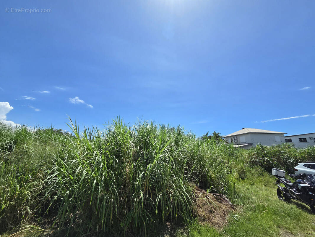 Photo 1 - Terrain à SAINT-ANDRE
