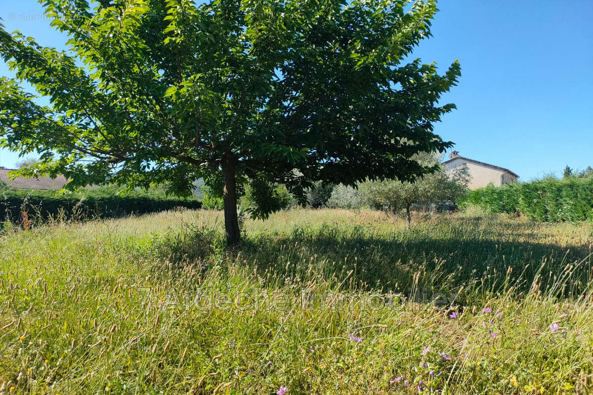 Terrain à LAVILLEDIEU