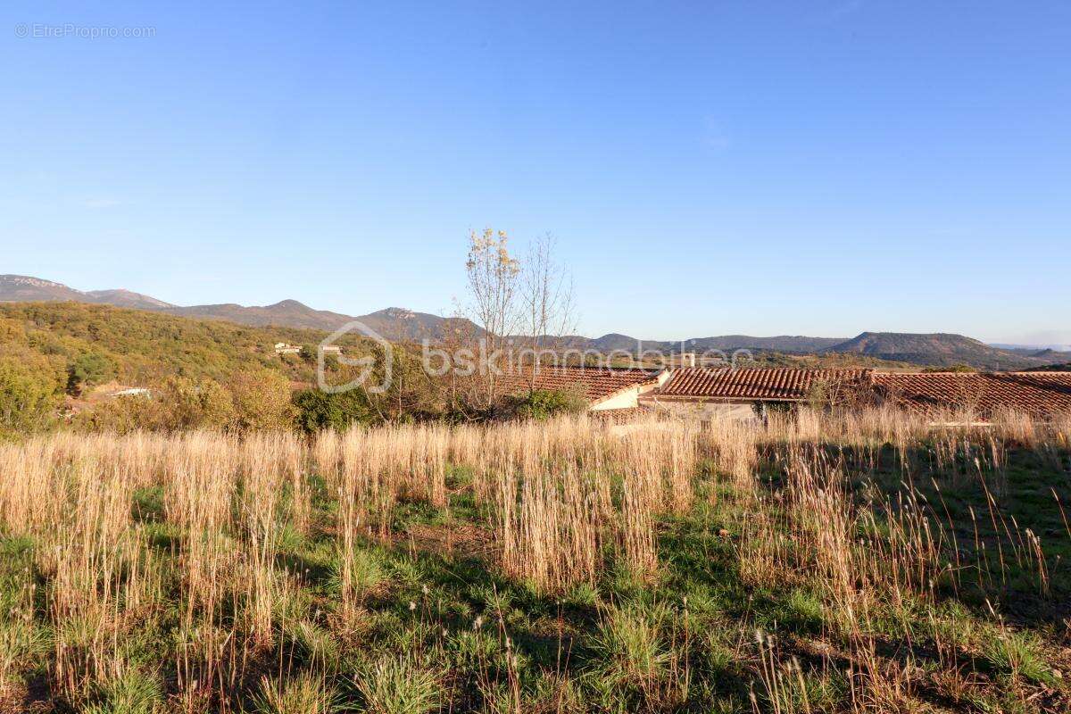 Terrain à LE BOSC