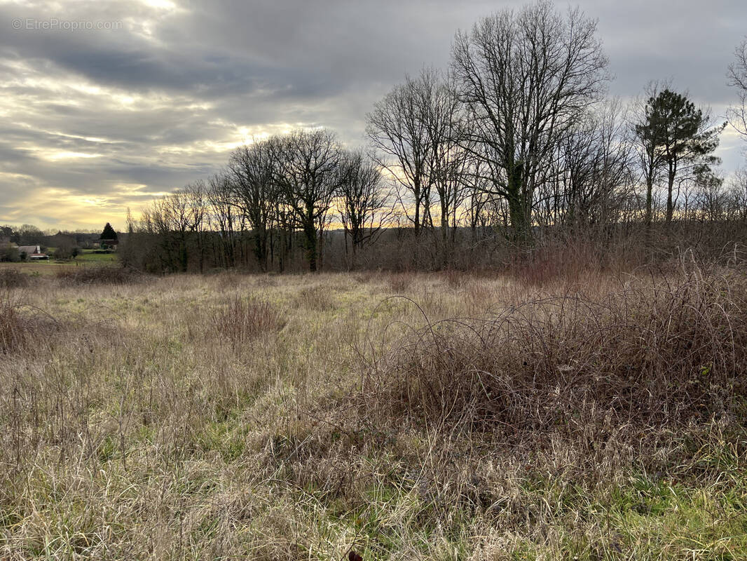 Terrain à PLAZAC