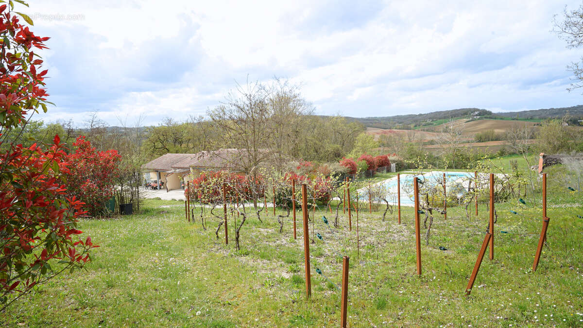 Maison à LAUZERTE