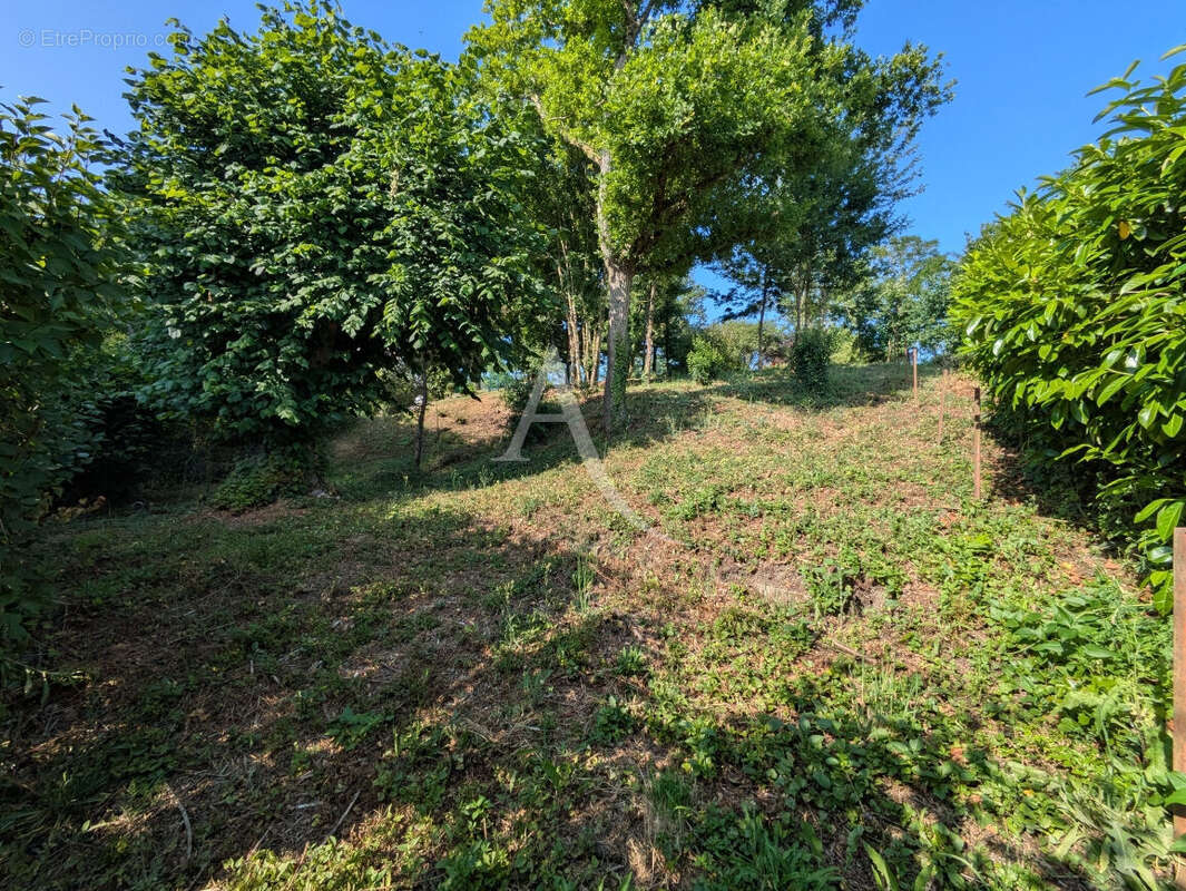 Terrain à ONZAIN