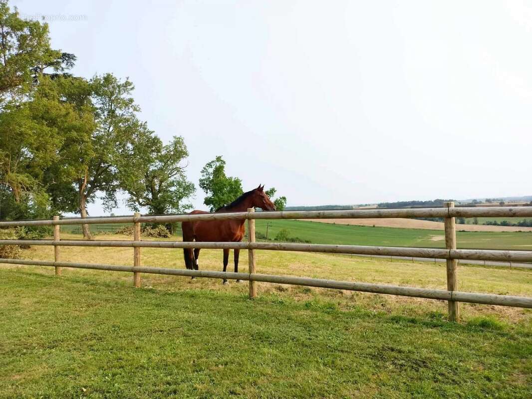 Maison à SAINT-VINCENT-DE-LAMONTJOIE
