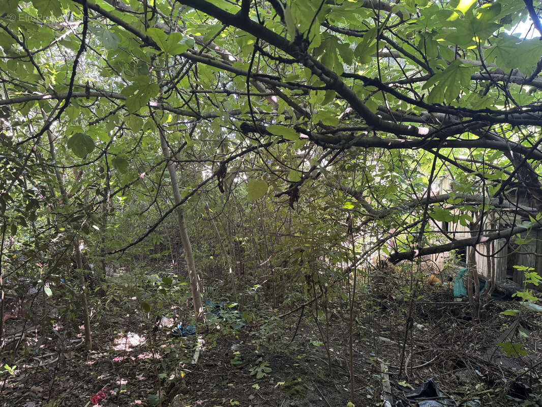 Maison à SAINT-ANDRE-DE-SANGONIS