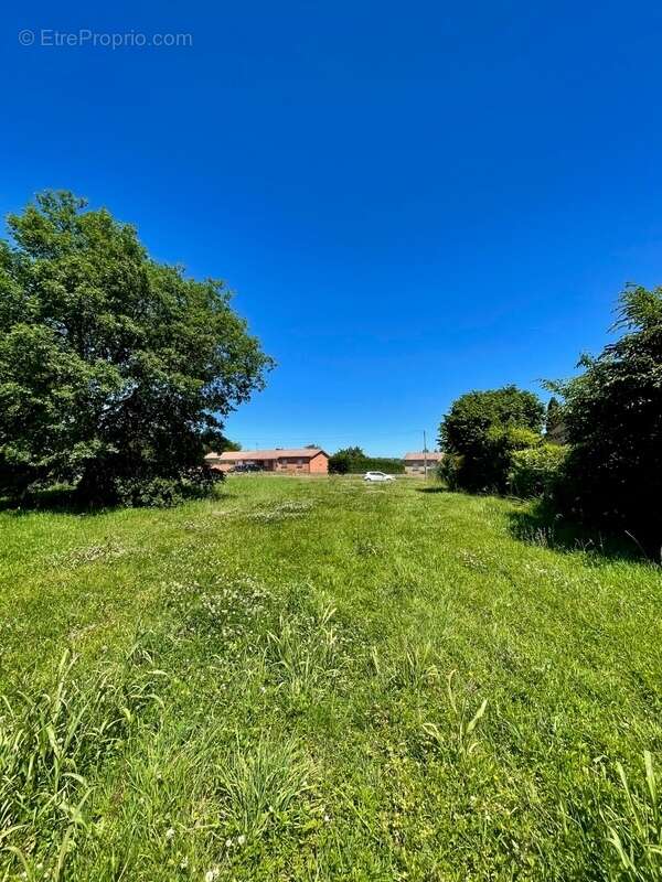 Terrain plat viabilisé 914 m² – Accès rapide Toulouse/Montauban-Bressols (82370) - photo 6