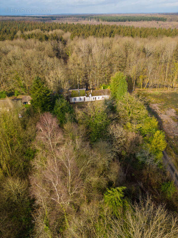 Maison à LE PLESSIS-DORIN