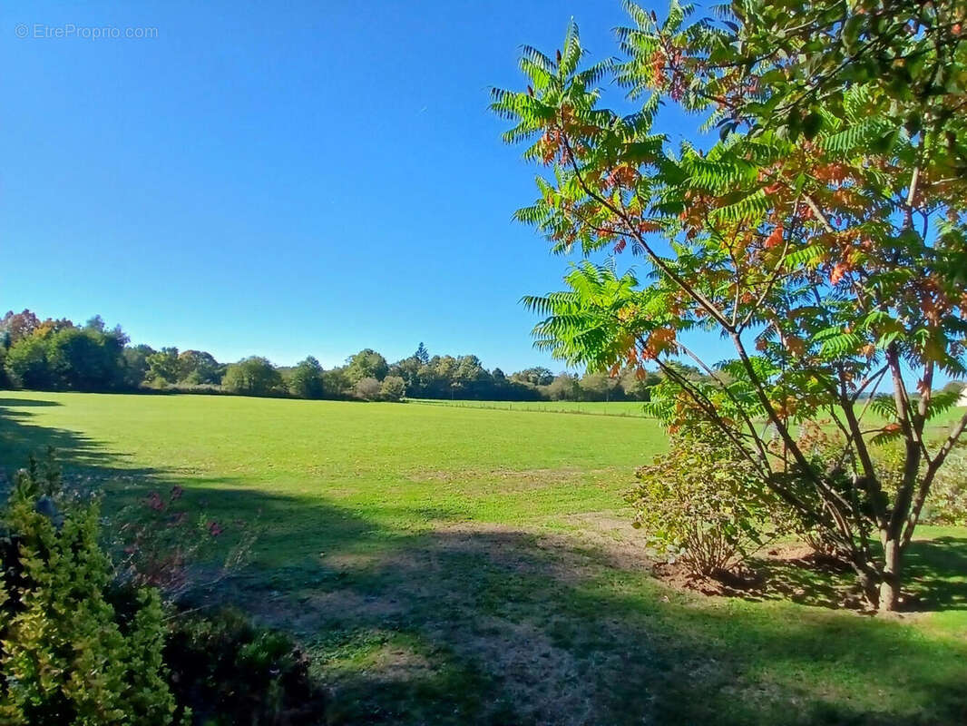 20251013_113731 - Maison à SAINT-PRIEST-LES-FOUGERES