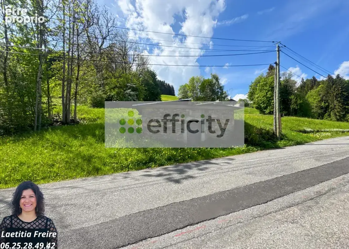 Maison 3 pièces 210 m² à vendre à Saint-Sigismond (74300) - photo 14