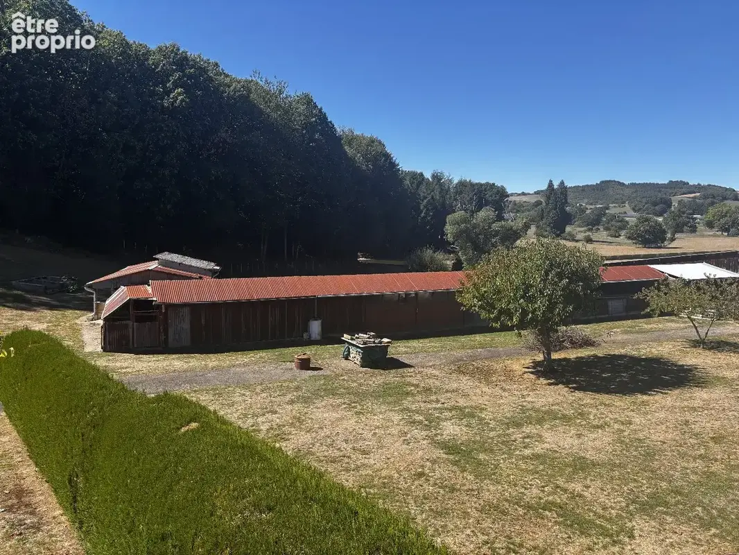 Maison - 4 chambres avec appartment, Piscine, Hanger, garage, Terrain - 6040 m2 - photo 8