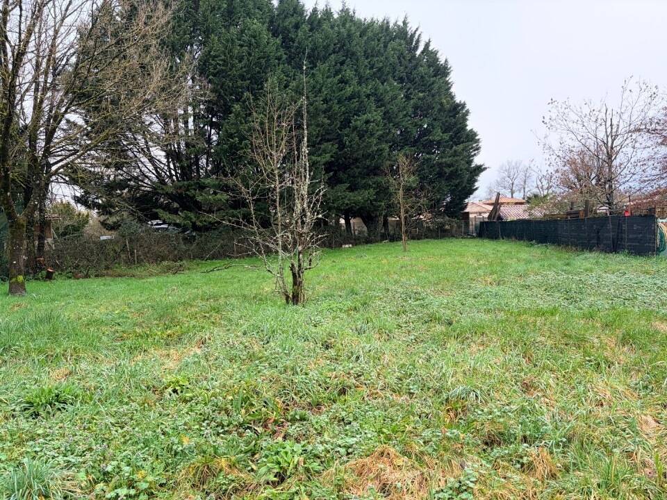 Terrain à MOULIS-EN-MEDOC