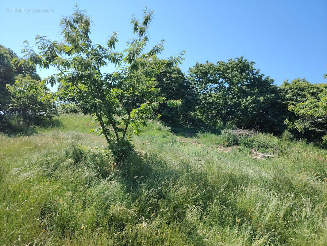 Terrain à FLAVIGNAC
