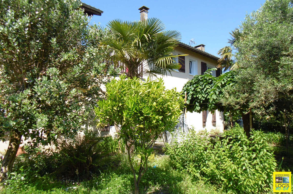 Maison 11p - port-de-lanne - photo 3