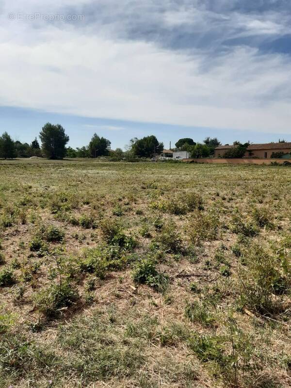 Terrain à SAINT-PARGOIRE